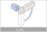arm